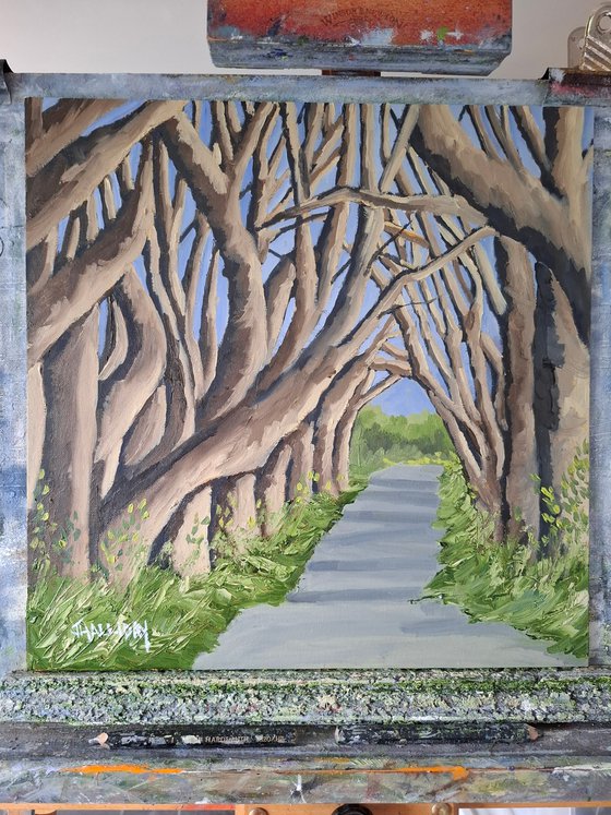 The Dark Hedges