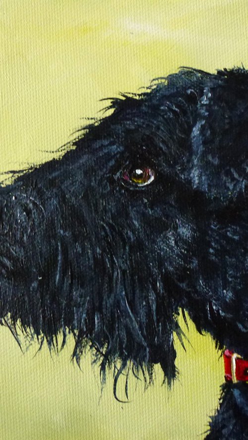 Charlie the dog by Lena Smirnova