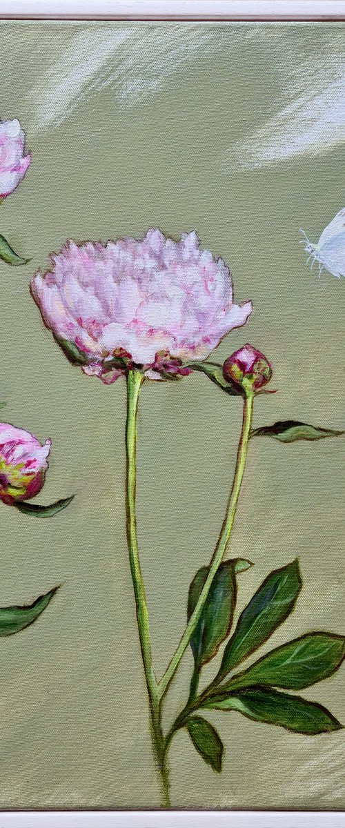 Peonies Study 3 by Katia Bellini