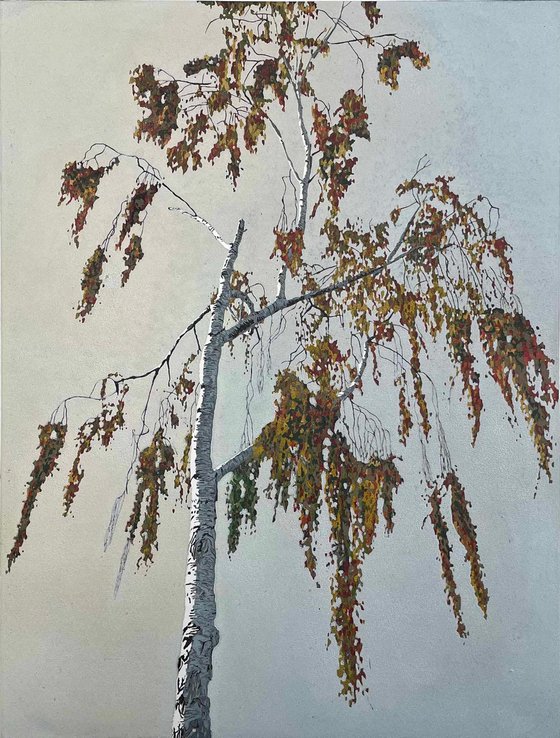 Birch at Sunset linocut