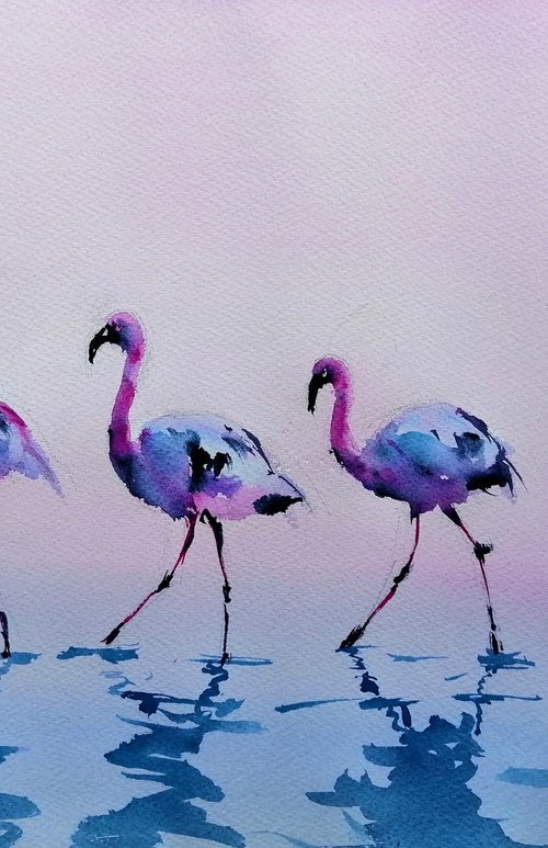 flamingos 3 by Giorgio Gosti