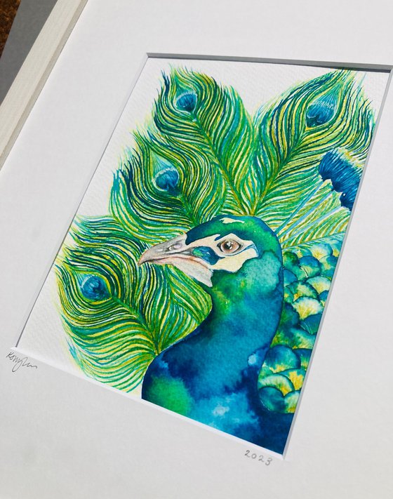 Peacock Watercolour Painting