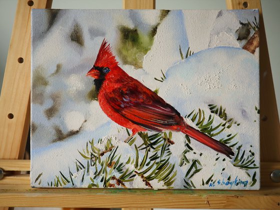 Red Cardinal in Snow