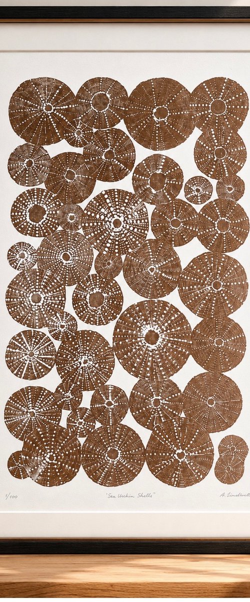 Sea Urchin Shells by Amy Cundall