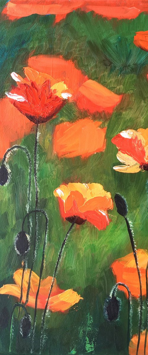 Poppies 6 by Elena Sokolova