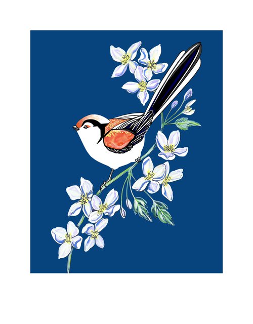 Long Tailed Tit and Clematis (print) by Fran Giffard