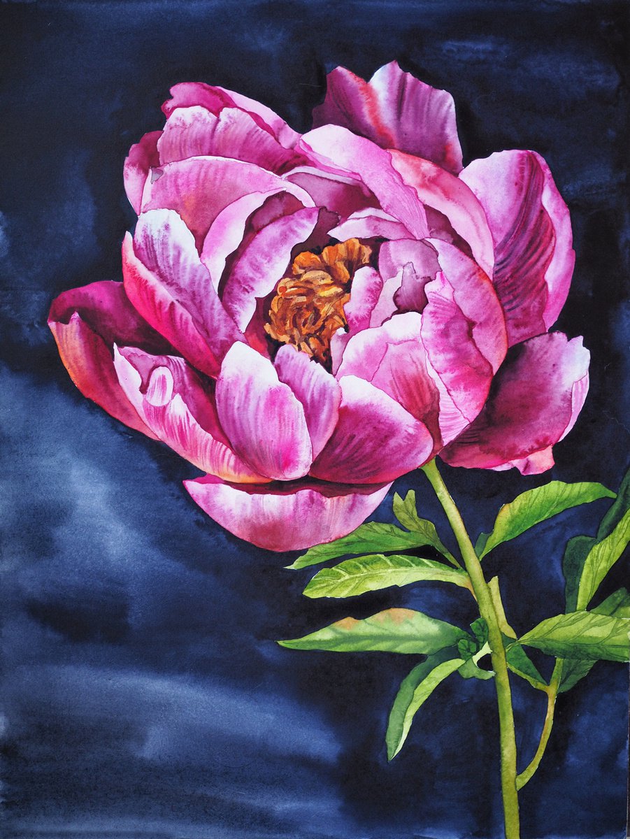 Impressionistic Botanical Watercolour By Delnara El, 12 X 16, Peony On Darkness Light, Original Artwork