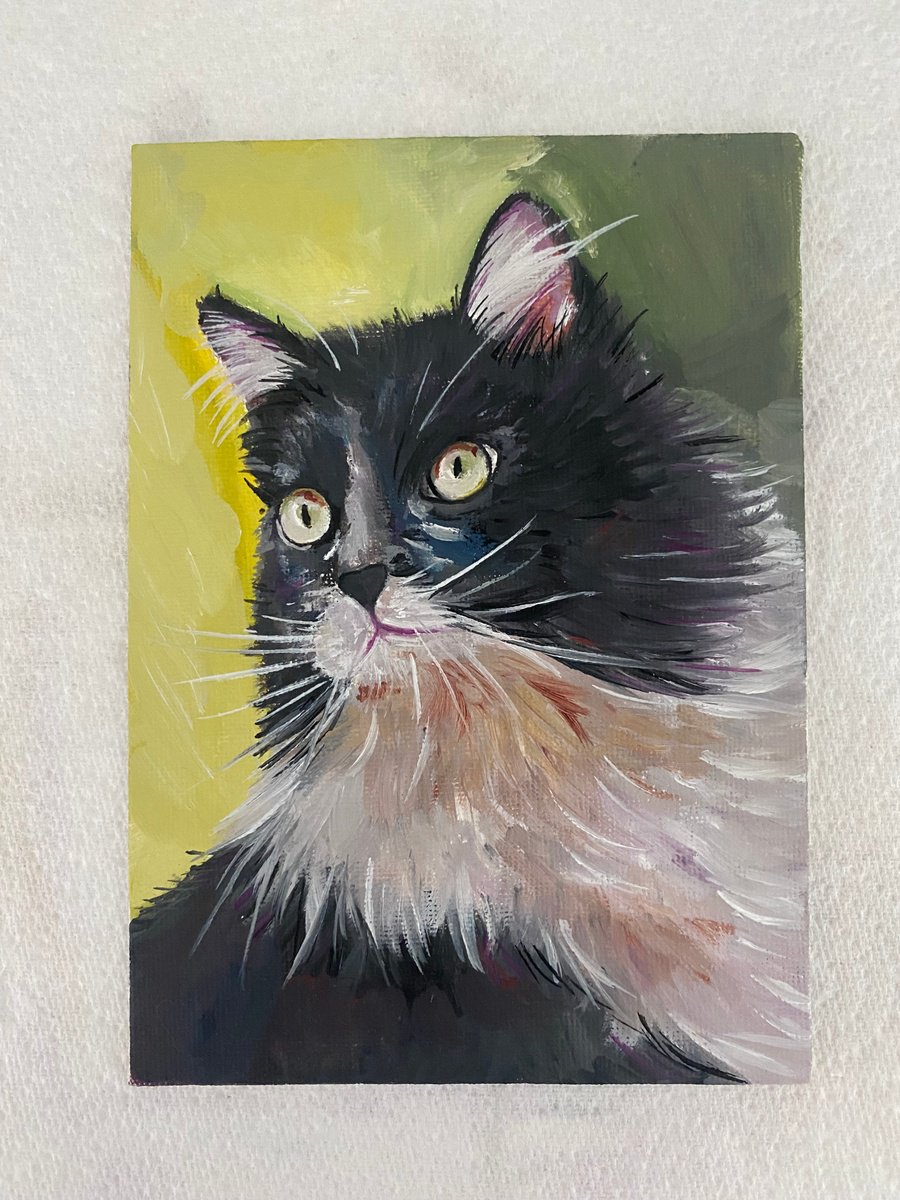 The gaze. Cat in oil paints. by Bethany Taylor