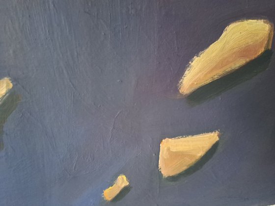 Fragments Under Moonlight