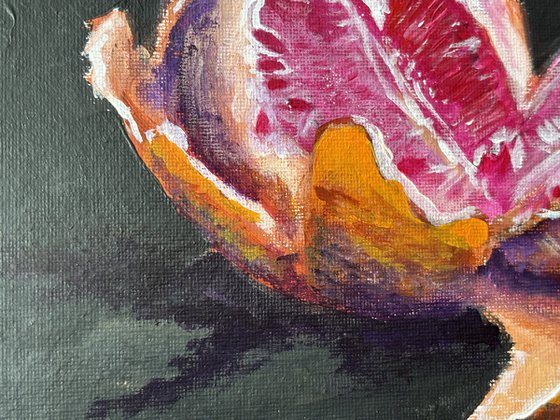 Fresh Grapefruit Still Life