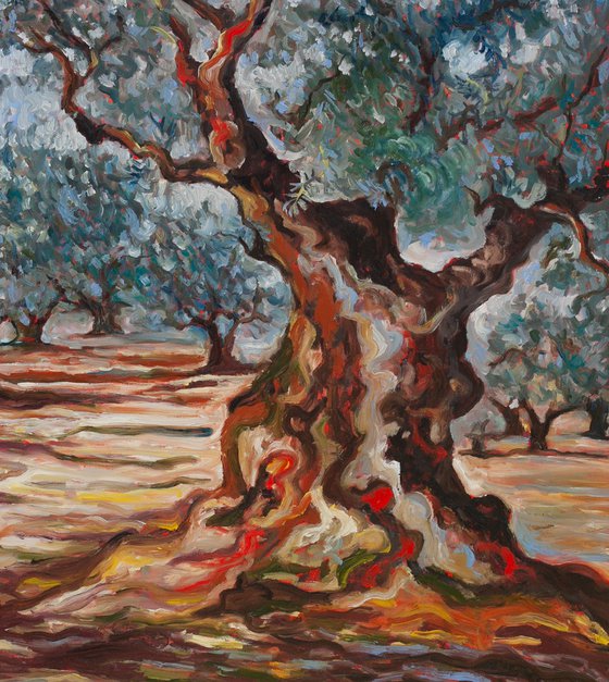 Olive Grove