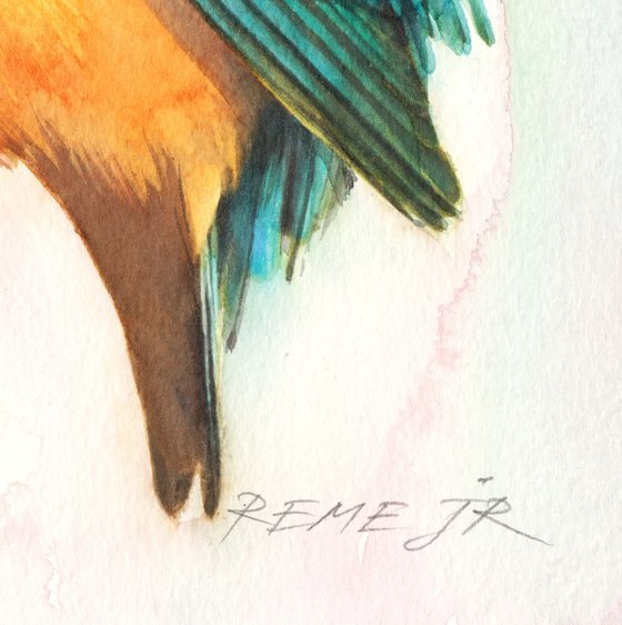 Kingfisher IX