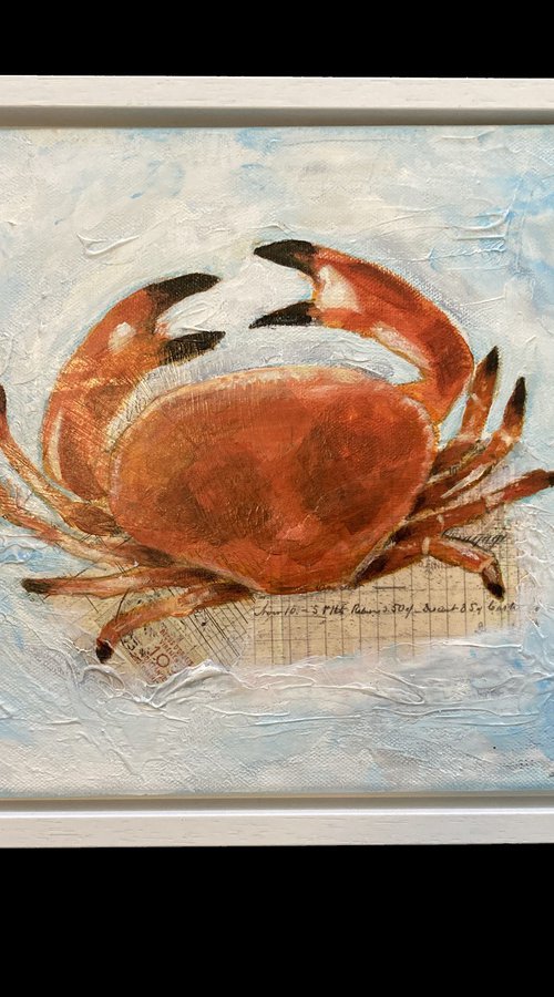 Crab Still Life Painting by Suzy K