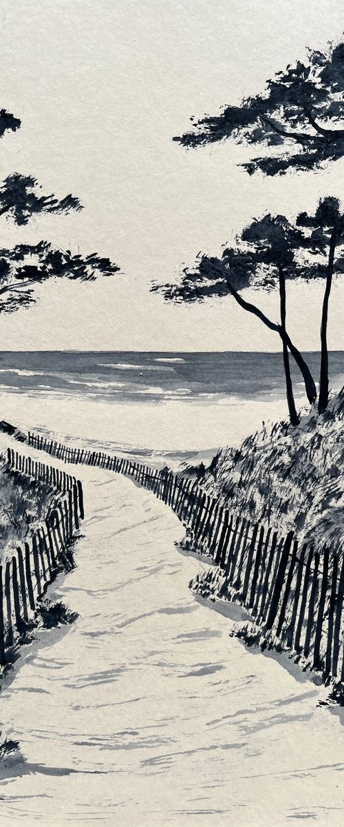 Ganivelles by Cadiou Frederic