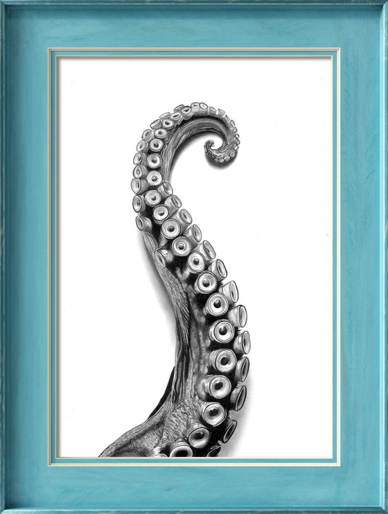 Octopus Arm
