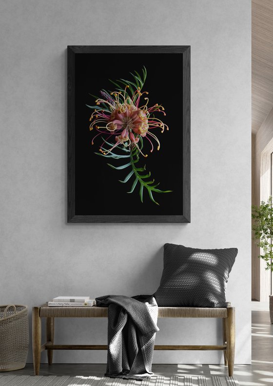 Grevillea Superb