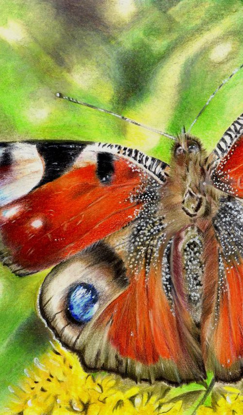 Peacock Butterfly (Inachis io) by Hendrik Hermans