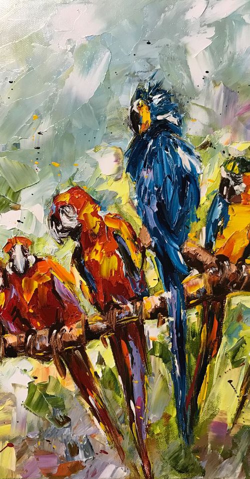 Parrots by Diana Malivani