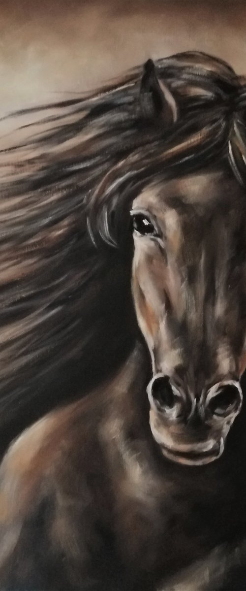 Arabian Horse - Original oil painting by Mateja Marinko
