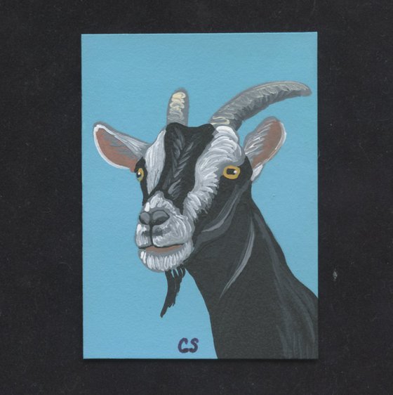 ACEO ATC Original Miniature Painting Black White Goat Farmyard Art-Carla Smale