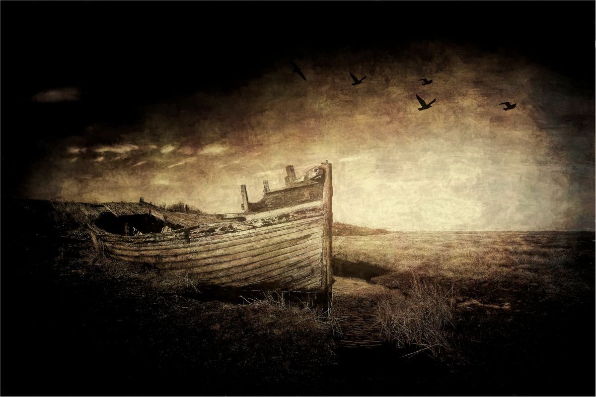 Unloved Boat by Martin  Fry