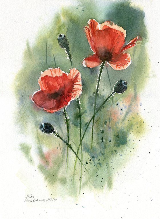 Red poppy watercolor painting original artwork gift for her home decor for kitchen