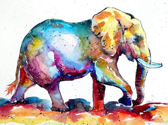 Colorful elephant V.