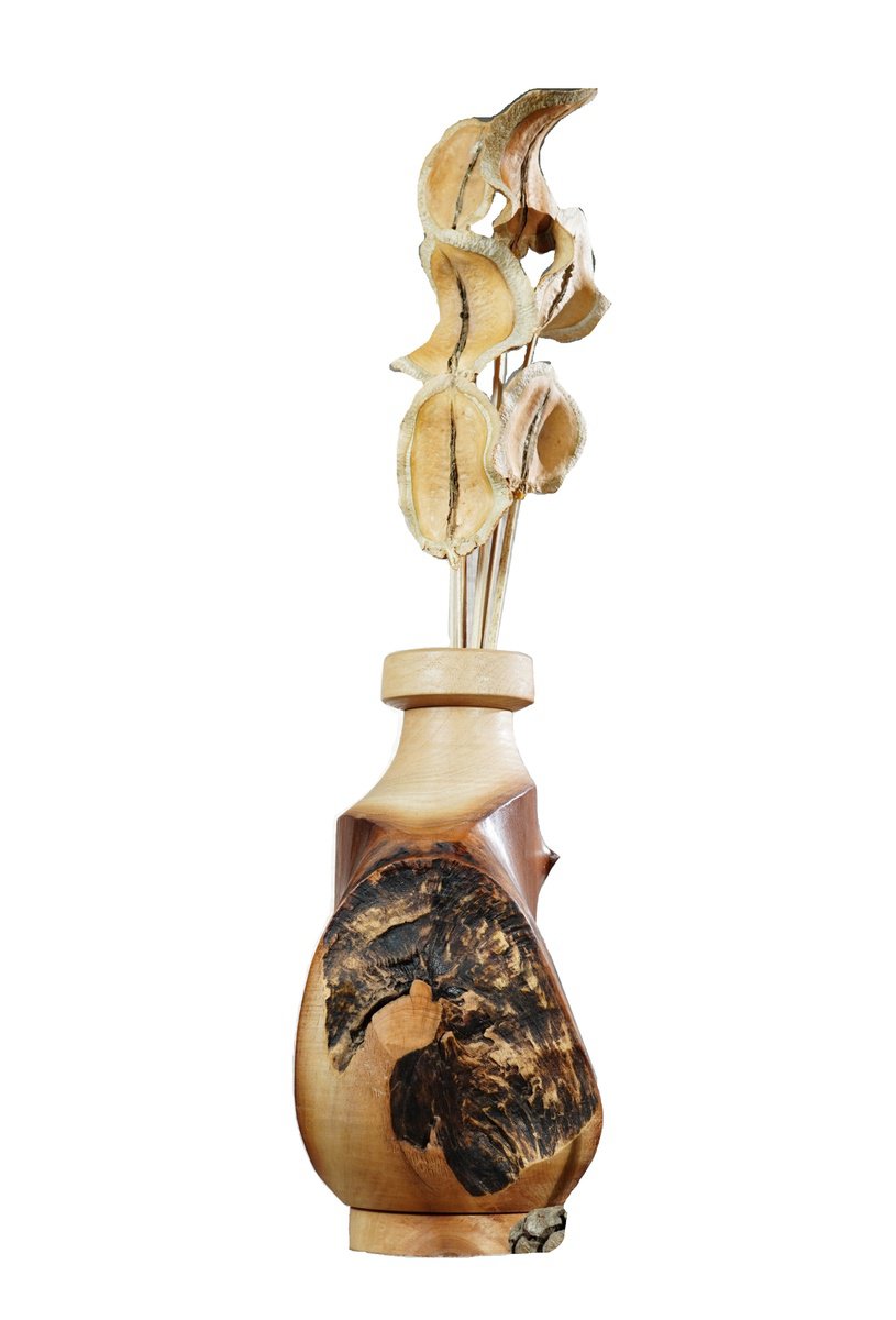 Organic Still Life Wood Sculpture By Sava Draganov, 6 X 12", "Latitude", Original Artwork