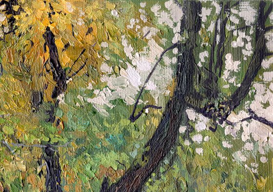 Chestnut tree in autumn. Tsaritsyno