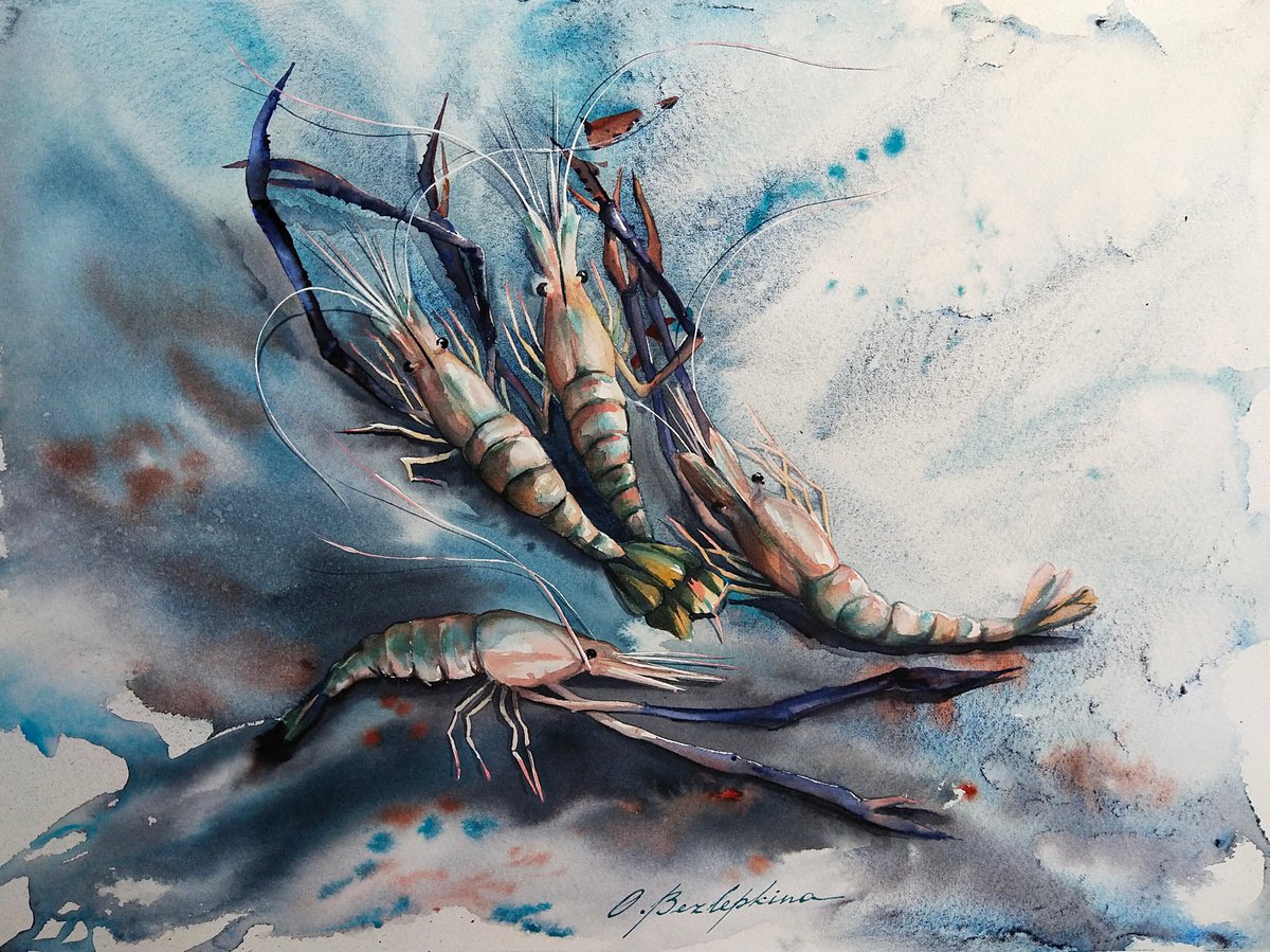 River shrimps by Olga Bezlepkina