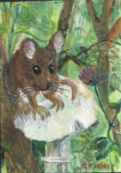 field mouse on a mushroom by Sandra Fisher