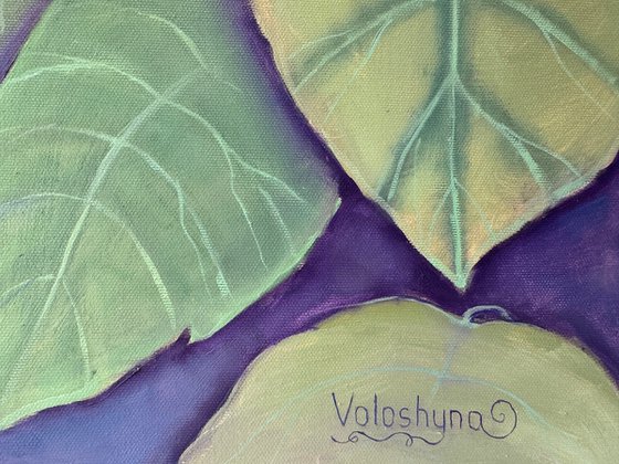 The quiet magic of everyday life