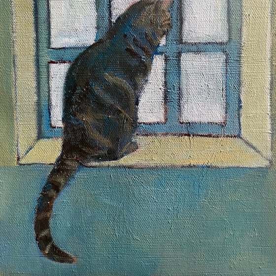 Cat in Window (Mylo)