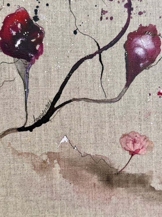 #1. Mountain Magnolia