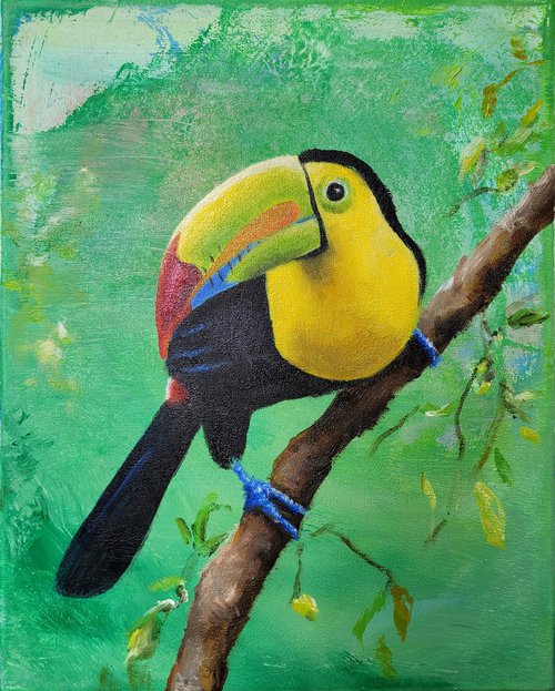 Colourful Toucan by Lisa Braun