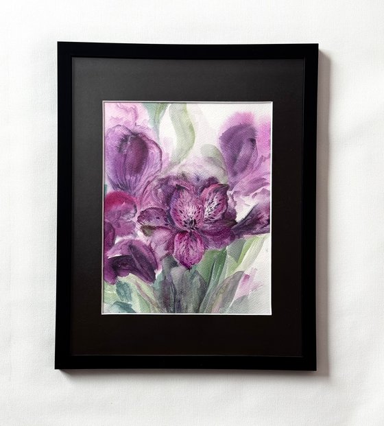 Purple alstroemeria