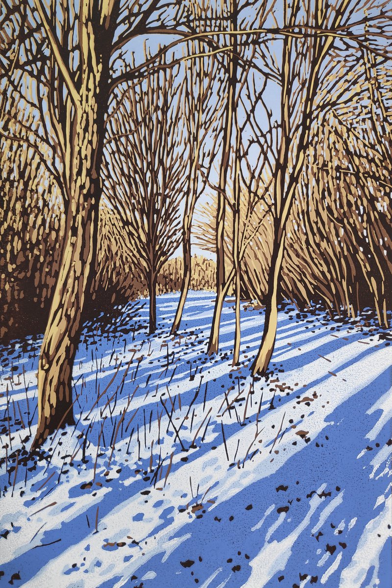 Snow Shadows by Alexandra Buckle
