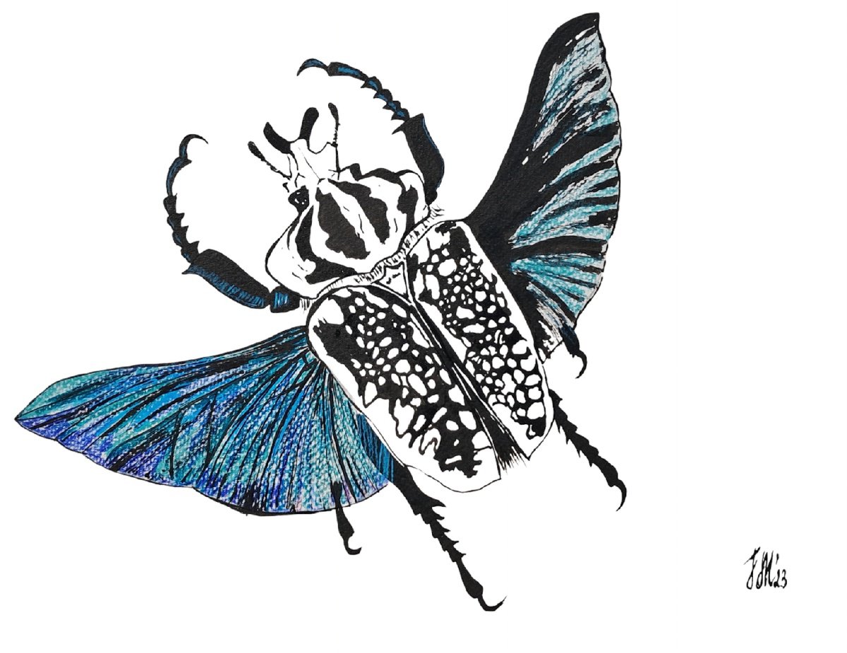 Animal Ink Drawing By Yuliia Sharapova, 16 X 12", Goliath Beetle Insects Wings, Original Artwork