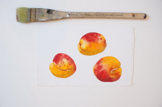 3 Apricots Painting
