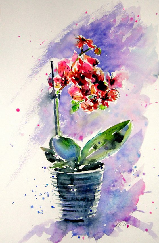 Still life with orchid