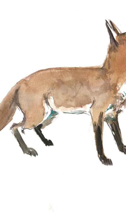 Fox Animal Illustration by Suren Nersisyan
