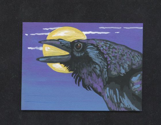 ACEO ATC Original Miniature Painting Crow Raven Bird Wildlife Art-Carla Smale