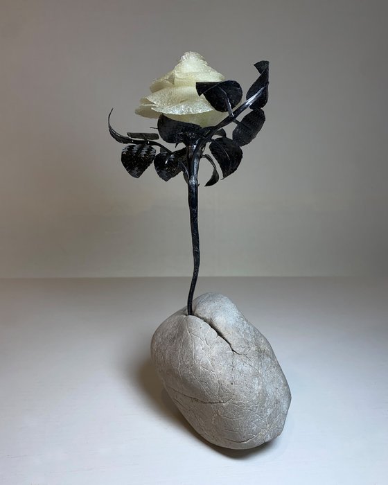 Perseverance finds a way