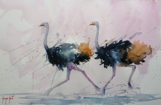 ostriches 2