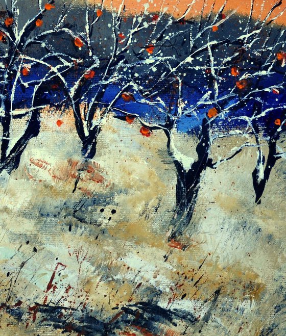 apple trees in winter