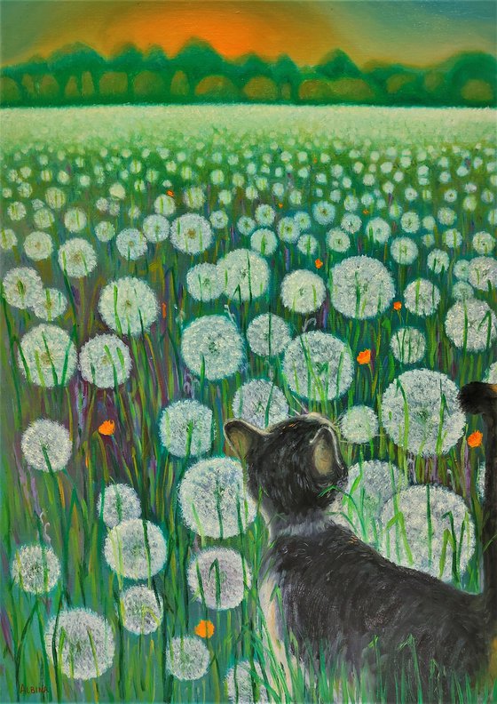 DANDELION DREAMS