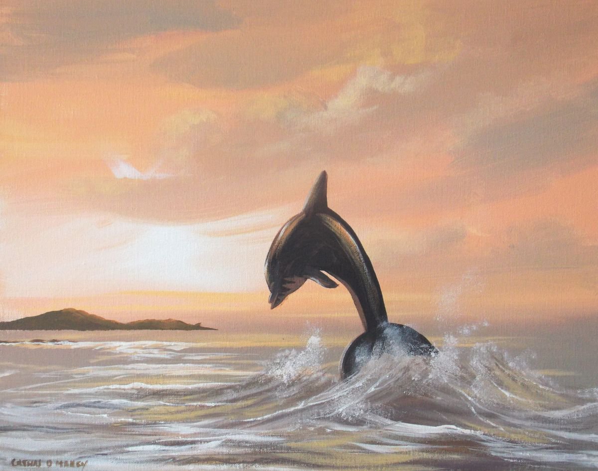 cruagh island dolphin by cathal o malley