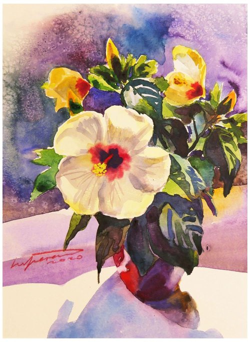 White Hibiscus Flower Watercolor Painting Floral Art by Ion Sheremet