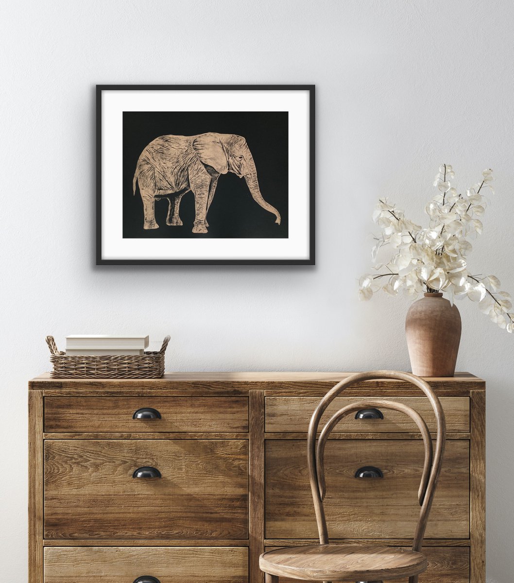 Baby Elephant by Amy Cundall