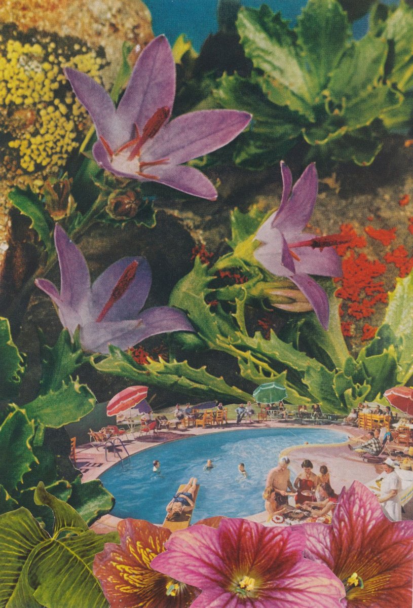 Urban And Pop Collage , Poolside At The Garden Motel By Paper Draper, 8 X 12, Artwork For Sale On Artfinder